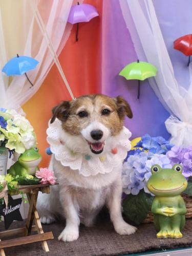 20230613こはるちゃん